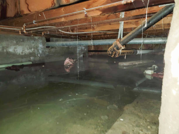 Best Emergency water damage restoration  in Pajaro, CA