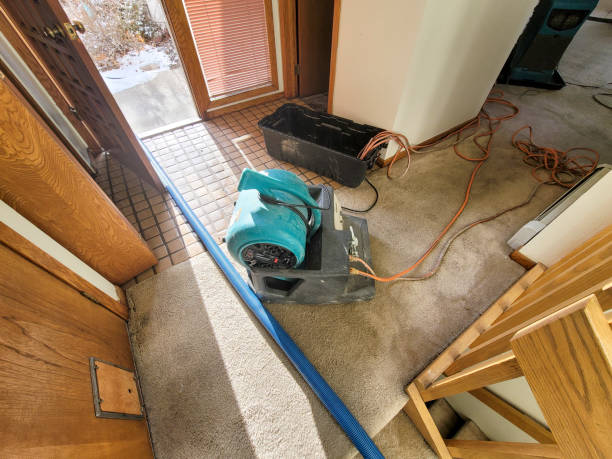 Best Water damage contractors near me  in Pajaro, CA