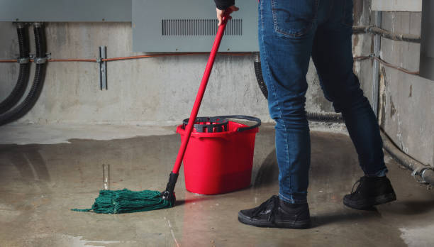 Best Flooded house restoration  in Pajaro, CA