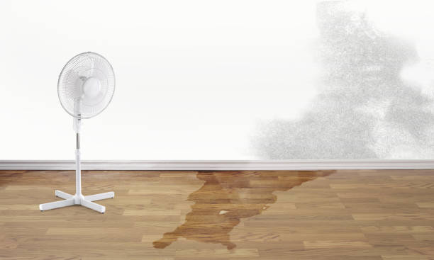 Best Residential water damage restoration  in Pajaro, CA