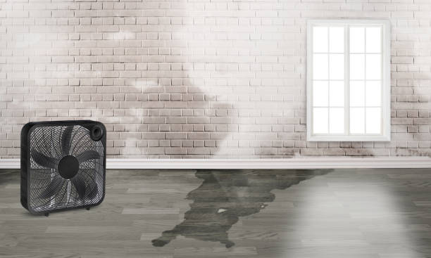 Best Sewage cleanup and water damage restoration  in Pajaro, CA