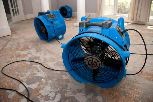 Best 24/7 water damage repair  in Pajaro, CA