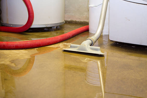 Best Professional water damage repair  in Pajaro, CA