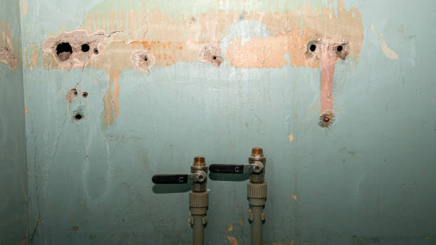 Best Local water damage restoration  in Pajaro, CA