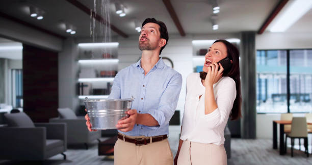 Best Water damage contractors near me  in Pajaro, CA
