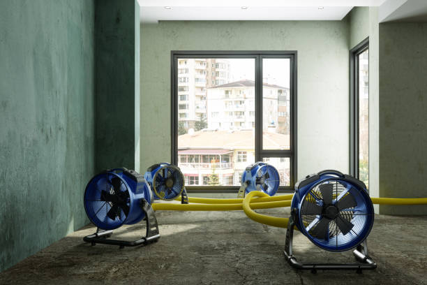 Best Water damage restoration near me  in Pajaro, CA